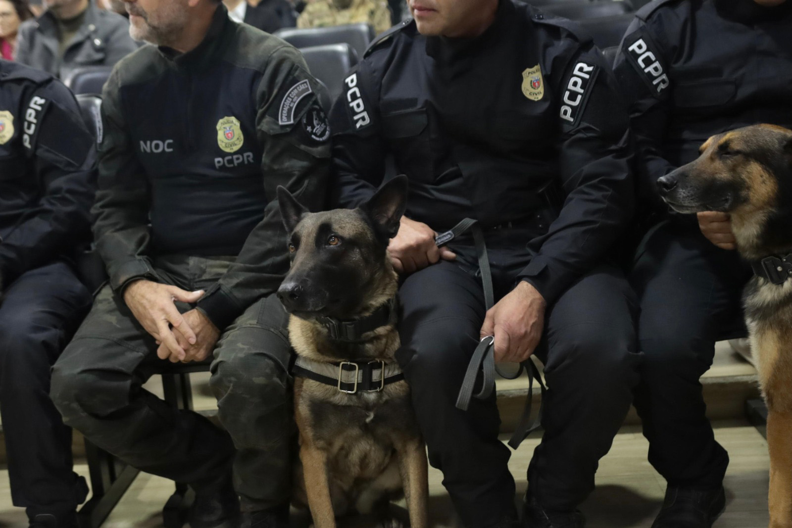 Polícia Civil do Paraná apreende armas e haxixe na Rodoviária de Curitiba