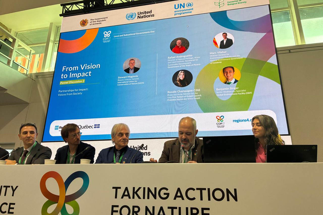 IAT - COP 17