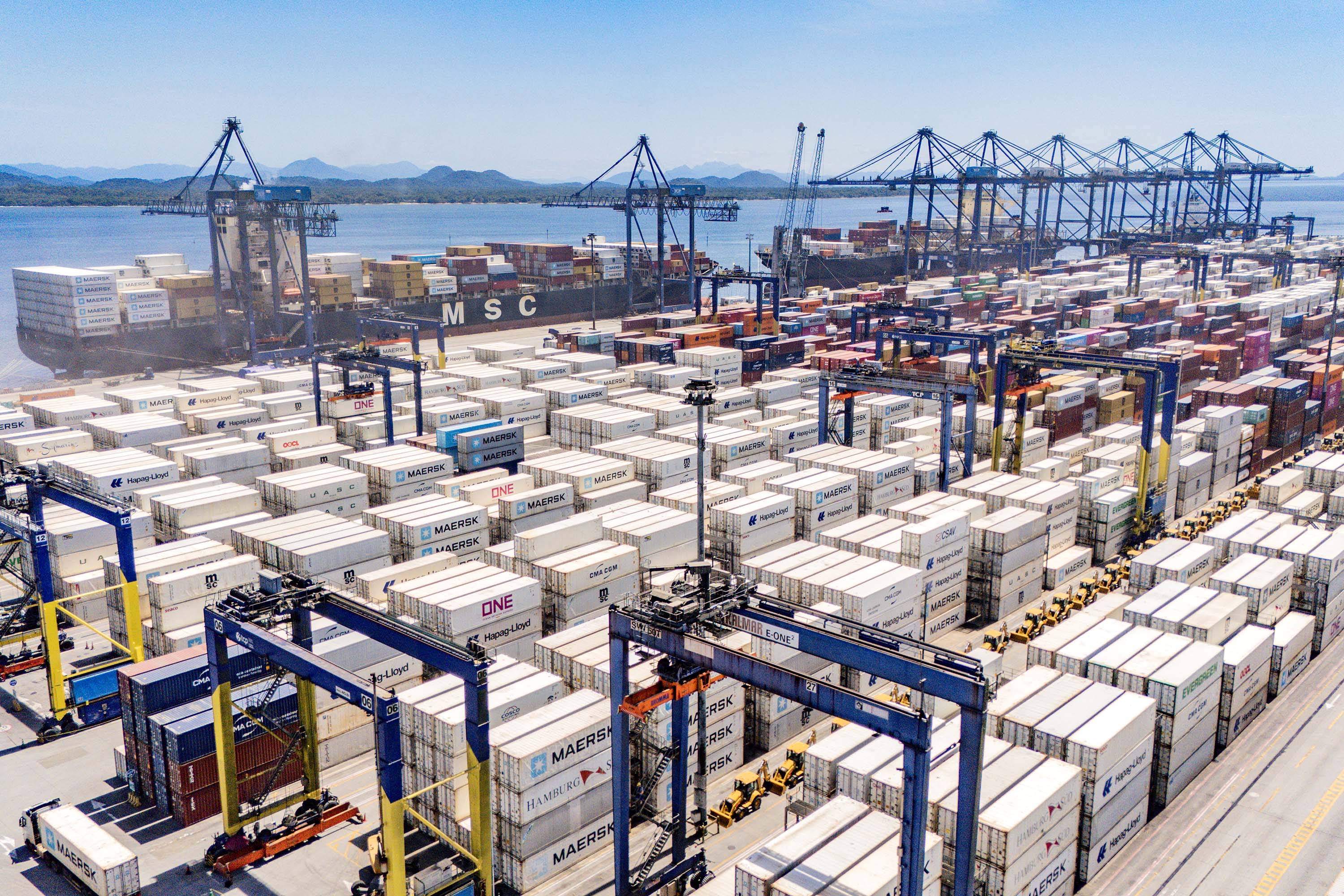 Paranaguá responde por 65% do crescimento das exportações brasileiras de frango congelado