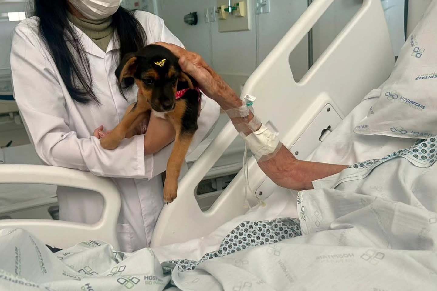 Unidade de Cuidados Paliativos do Hospital Zona Norte de Londrina completa 10 anos