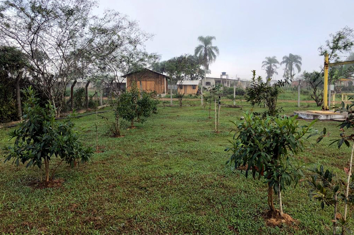 A Sanepar está ampliando a formação de cortinas verdes no entorno de estações de tratamento (ETE) e elevatórias (EEE) de esgoto em todo o Estado   -  Curitiba, 10/01/2019  -  Foto: Divulgação Sanepar