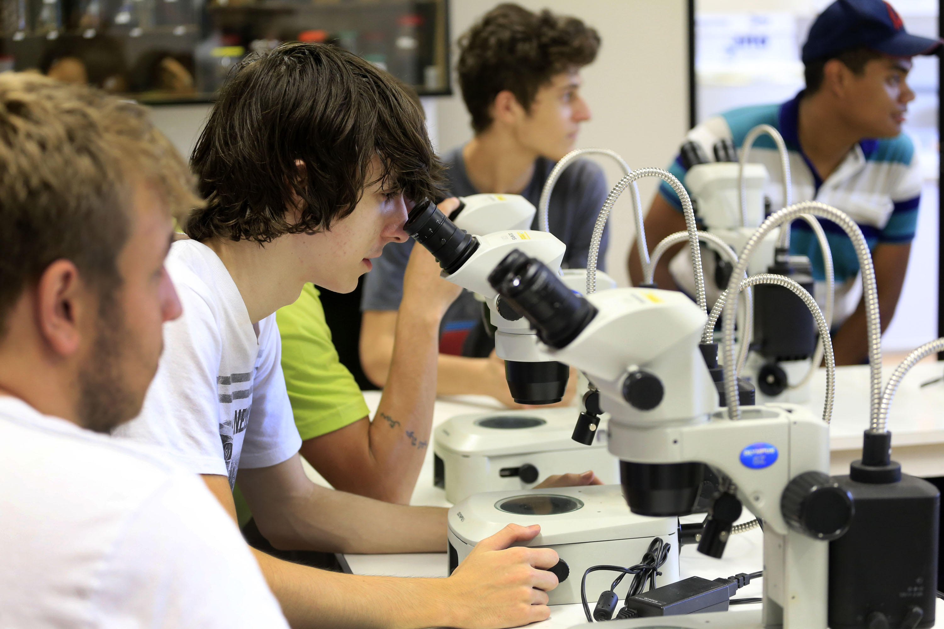 As universidades estaduais do Paraná ganharam destaque internacional no ranking Emerging Economies University, da revista inglesa Times Higher Education, divulgado na última terça-feira (15). O ranking, que avaliou 442 universidades de 43 nações, engloba instituições em países classificados como emergentes avançados, emergentes secundários e de fronteira. - .Foto: Arnaldo Alves / ANPr.