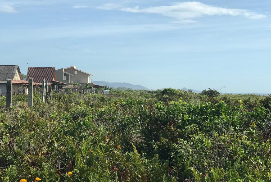 O Instituto Ambiental do Paraná (IAP) orienta a população a não criar jardins em área de restinga, principalmente em balneários do litoral paranaense. Qualquer alteração dessas áreas, consideradas Áreas de Preservação Permanente e da União, deverá ser consultado o município, podendo responder por crime ambiental, conforma Lei Federal nº 9605/98 e Código Florestal. Foto:IAP