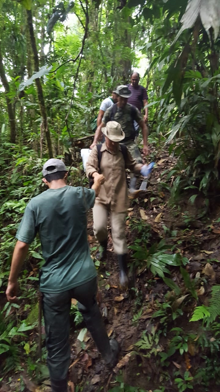 Uma equipe da Secretaria de Estado da Saúde está em Antonina, no Litoral, para investigar o local em que foram encontrados três macacos mortos e uma carcaça mais antiga, diante da possibilidade de que os animais tenham morrido por causa da febre amarela. - Foto: Divulgação SESA