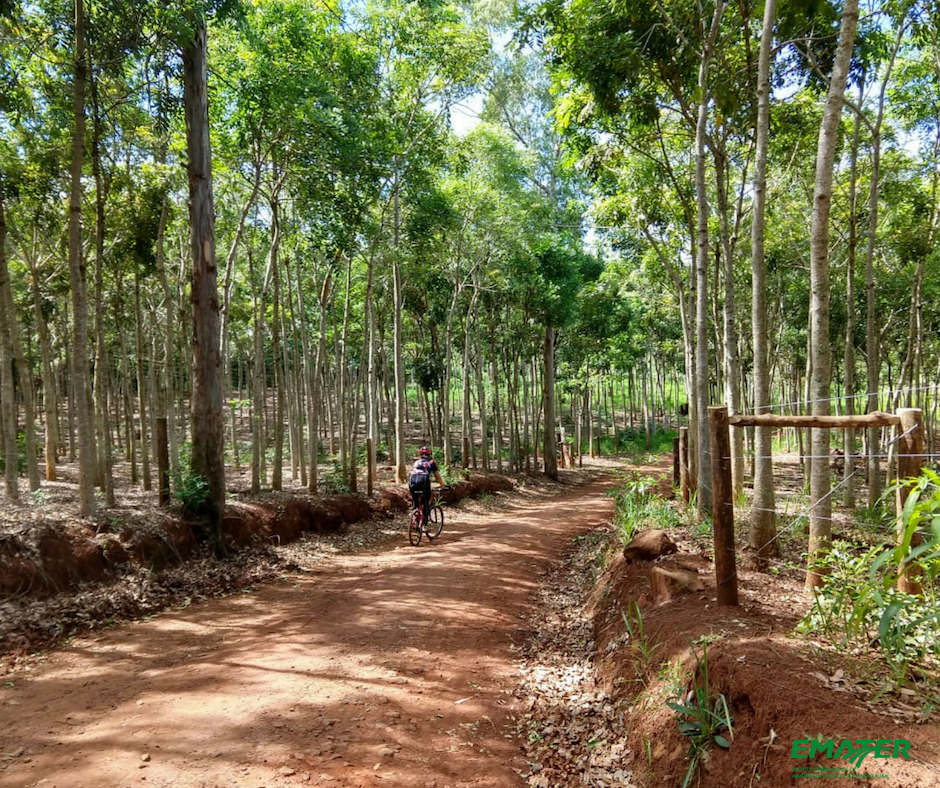 Além das conhecidas caminhadas internacionais da natureza, o Instituto Paranaense deAssistência Técnica e Extensão Rural (Emater-PR), em parceria com o Instituto AndaBrasil, também coordena no Paraná as pedaladas da natureza. Na foto, imagem do percurso natureza e produção rural em Ribeirão Claro - Foto: Marina P P Lima /Emater