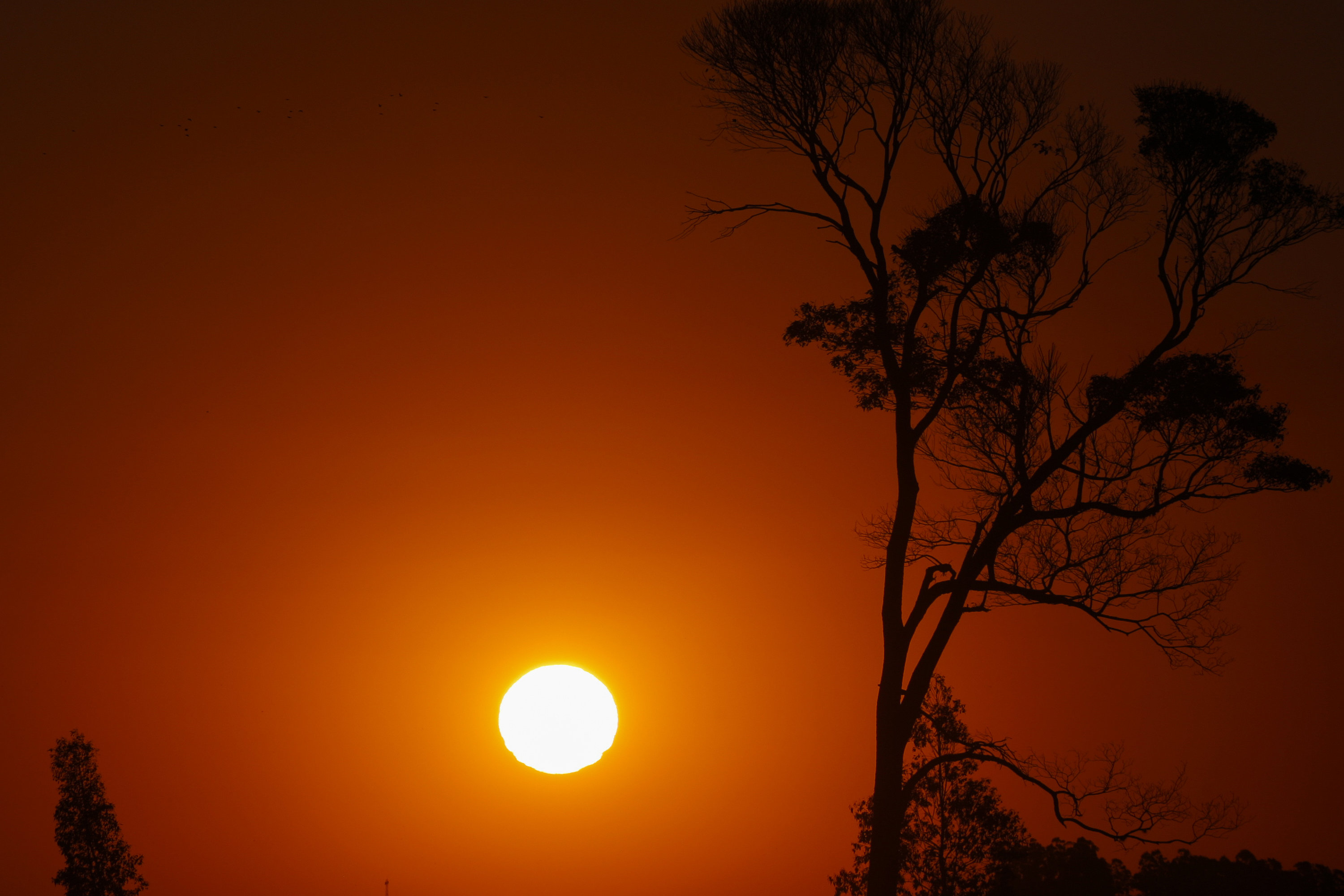 Como ocorre em várias regiões do Brasil, a onda de calor neste início de
ano está provocando o aumento do consumo de energia no Paraná. - Foto: Arnaldo Alves/ANPr