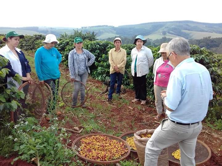 Cafeicultoras de Carlópolis e Tomazina, no Norte Pioneiro do Paraná, estão exportando o café especial que produzem na região. A venda das 460 primeiras sacas do produto ao Japão e à Austrália, nos últimos dois anos, representou aumento na renda das famílias e também mais um passo do projeto Mulheres do Café, implantado pelo Instituto Paranaense de Assistência Técnica e Extensão Rural (Emater) na região. Foto: Divulgação