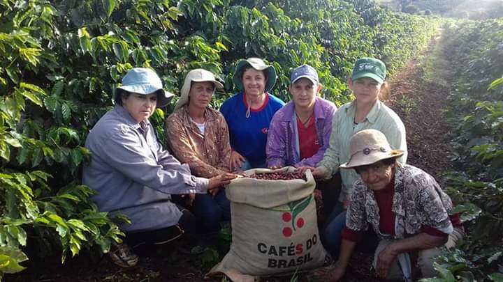 Cafeicultoras de Carlópolis e Tomazina, no Norte Pioneiro do Paraná, estão exportando o café especial que produzem na região. A venda das 460 primeiras sacas do produto ao Japão e à Austrália, nos últimos dois anos, representou aumento na renda das famílias e também mais um passo do projeto Mulheres do Café, implantado pelo Instituto Paranaense de Assistência Técnica e Extensão Rural (Emater) na região. Foto: Divulgação