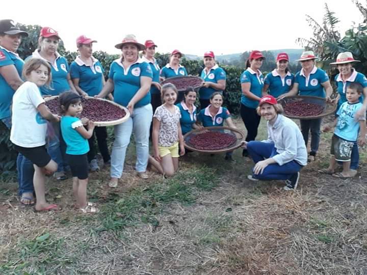 Cafeicultoras de Carlópolis e Tomazina, no Norte Pioneiro do Paraná, estão exportando o café especial que produzem na região. A venda das 460 primeiras sacas do produto ao Japão e à Austrália, nos últimos dois anos, representou aumento na renda das famílias e também mais um passo do projeto Mulheres do Café, implantado pelo Instituto Paranaense de Assistência Técnica e Extensão Rural (Emater) na região. Foto: Divulgação