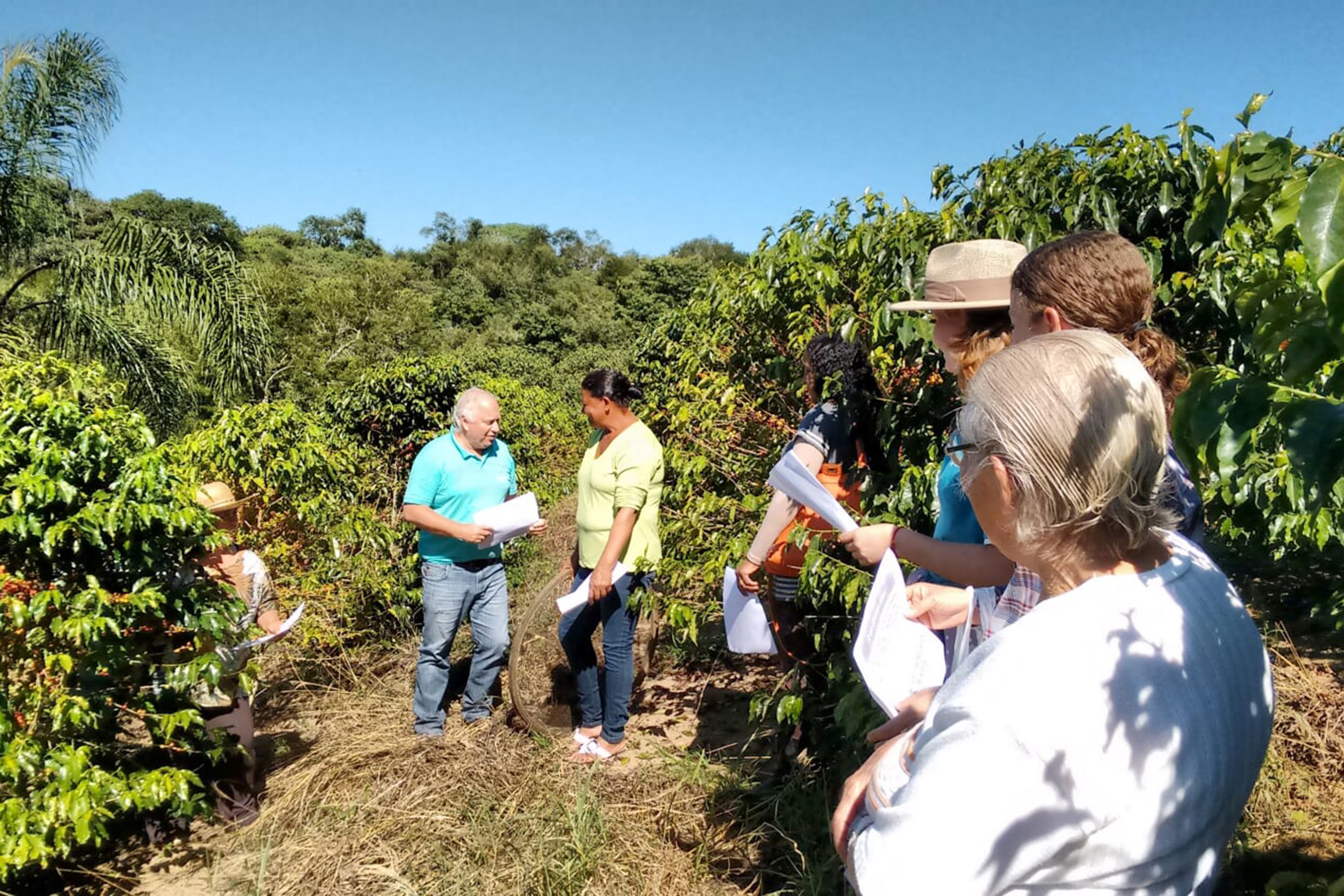 Reunião p´ratica de colheita no município de Ibaiti  -  Foto: Emater