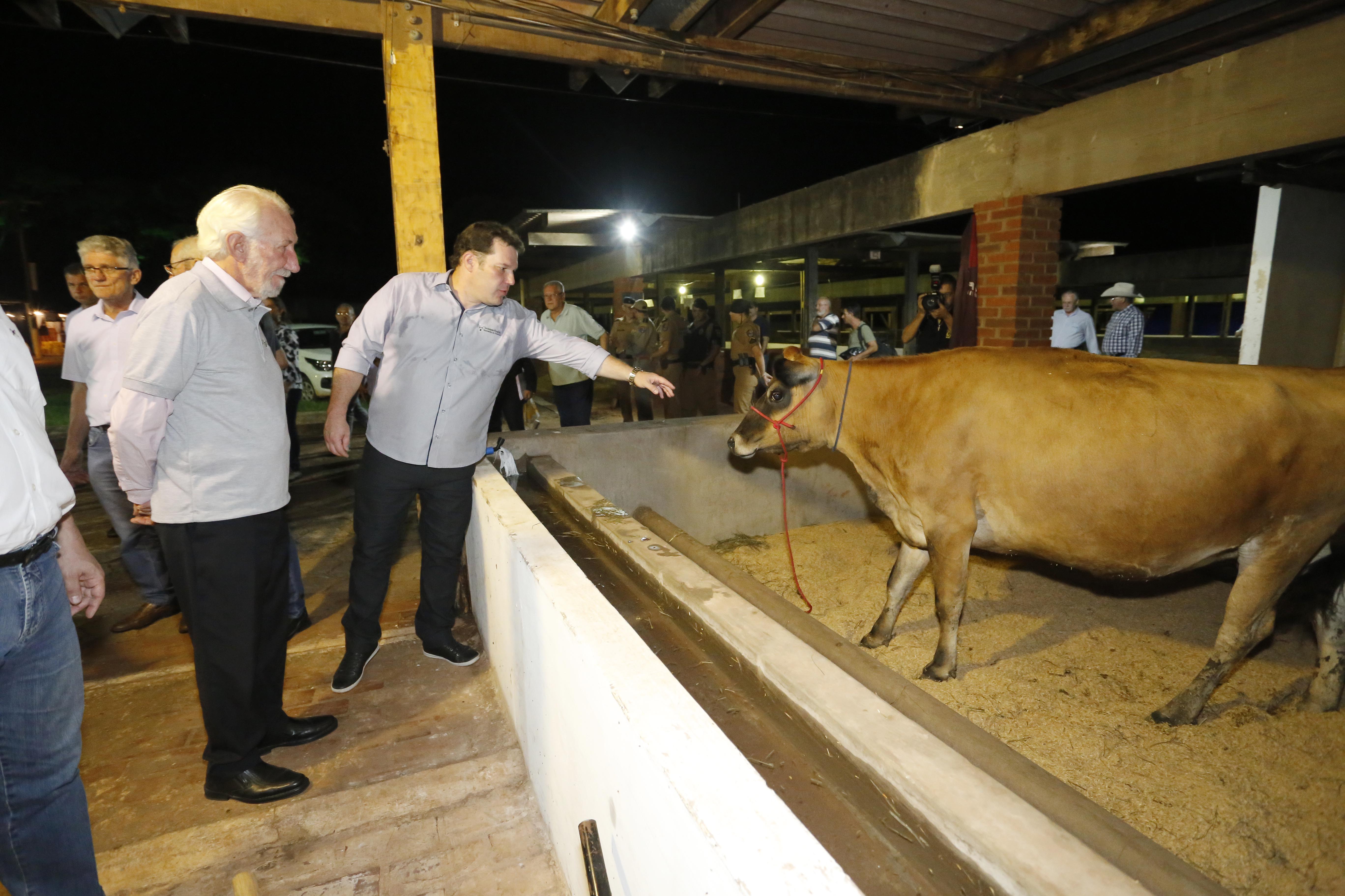 O governador em exercício Darci Piana, participa da abertura da 48ª Exposição Paranavaí - Feira Agropecuária e Industrial de Paranavaí, região noroeste do Estado. Presentes: presidente da Sociedade Rural do Noroeste do Paraná, Mario Helio de Almeida; secretário de Agricultura, Norbeto Ortigara; entre outros.Paranavaí, 08-03-19.Foto: Arnaldo Alves / ANPr.