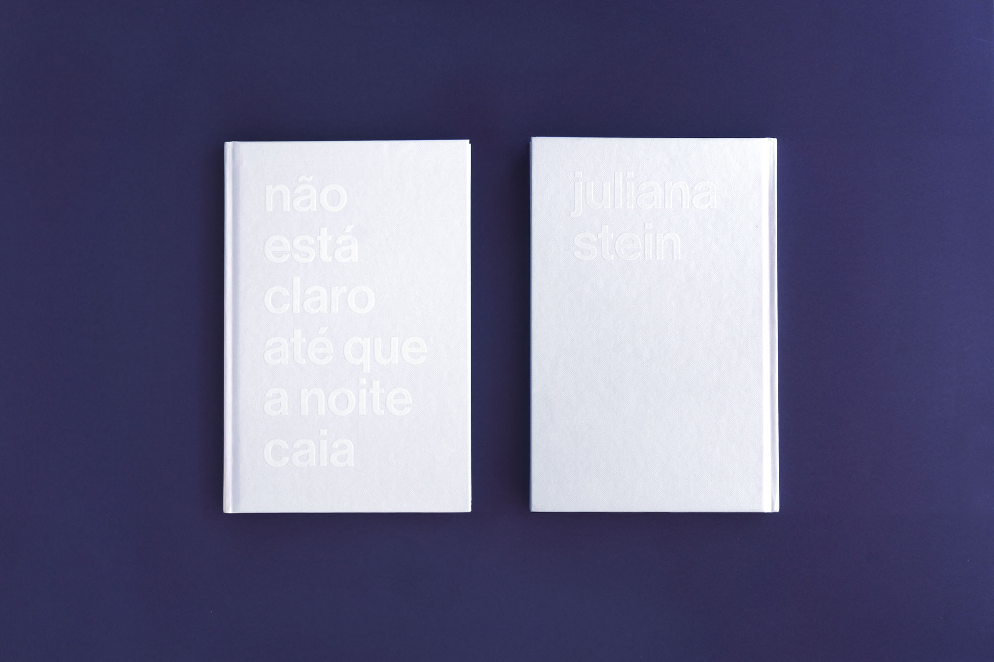 Dois projetos selecionados no primeiro e segundo editais do Programa Estadual de Fomento e Incentivo à Cultura (Profice) foram premiados essa semana. O livro Não está claro até que a noite caia, da artista Juliana Stein, ganhou o prêmio Bronze de Design no Latin American Design Awards.Foto: Kraw Penas/SEEC
