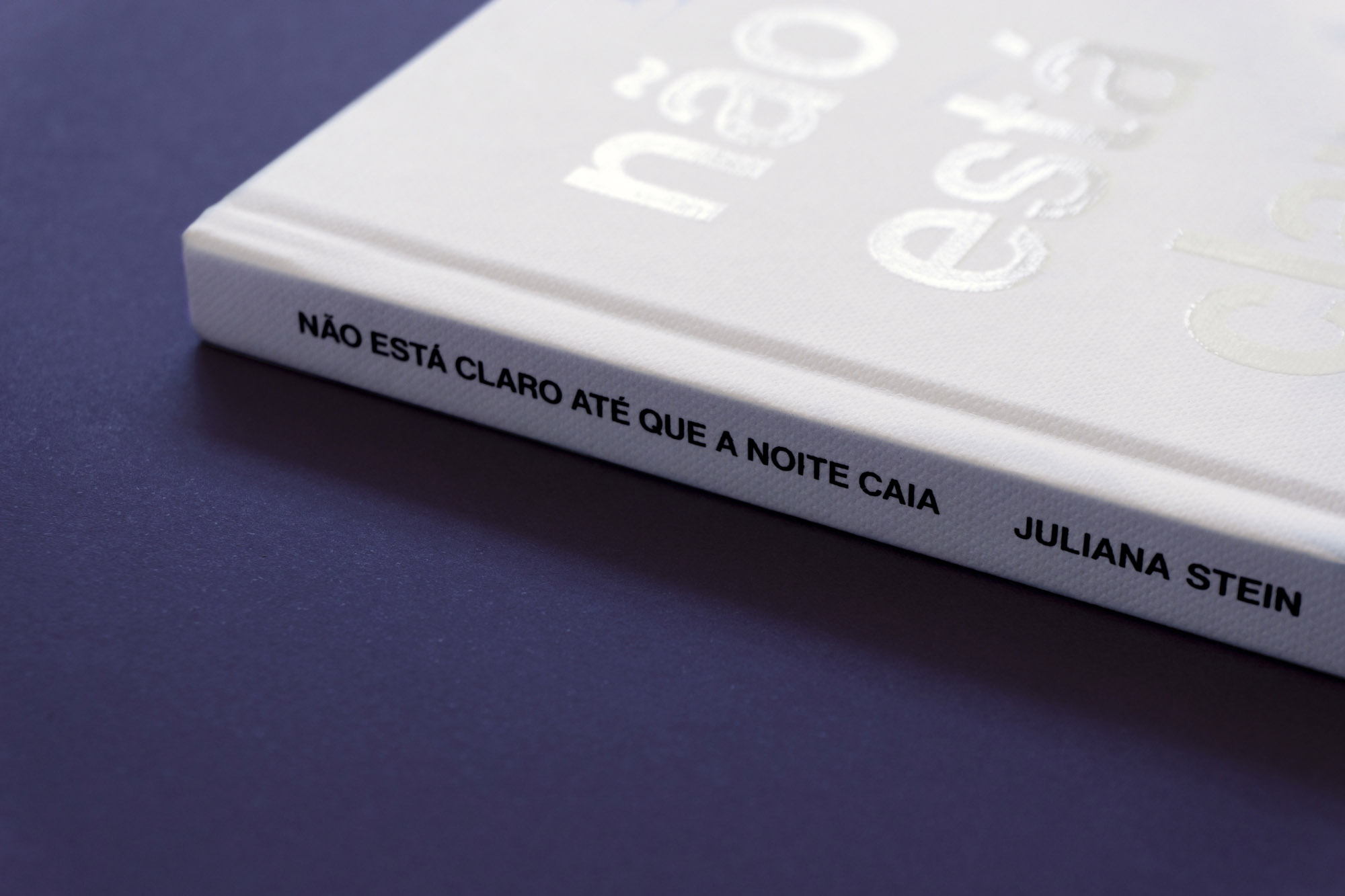 Dois projetos selecionados no primeiro e segundo editais do Programa Estadual de Fomento e Incentivo à Cultura (Profice) foram premiados essa semana. O livro Não está claro até que a noite caia, da artista Juliana Stein, ganhou o prêmio Bronze de Design no Latin American Design Awards.Foto: Kraw Penas/SEEC