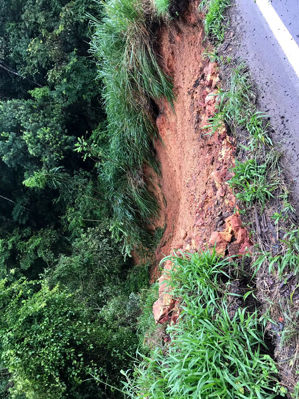 Interdição da PR-340 entre Tibagi e Telêmaco Borba, por conta de um desmoronamento de terra na tarde de sábado (16) - Curitiba, 17/03/2019 - Foto: Divulgação DER