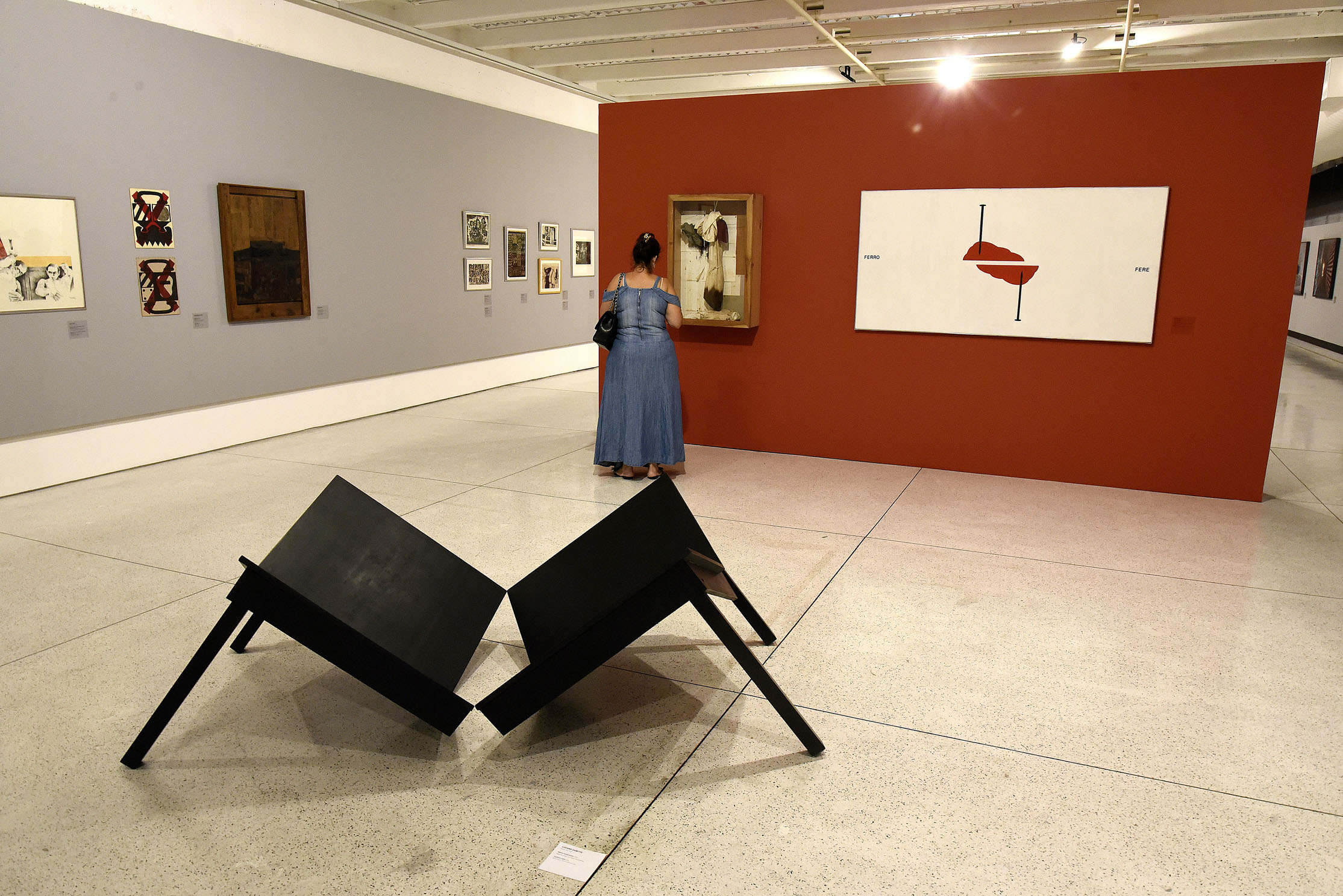 Ana Rocha, diretora do Museu de Arte Contemporânea do Paraná(MAC/PR).Curitiba, 19 de fevereiro de 2019.Foto: Kraw Penas/SEEC