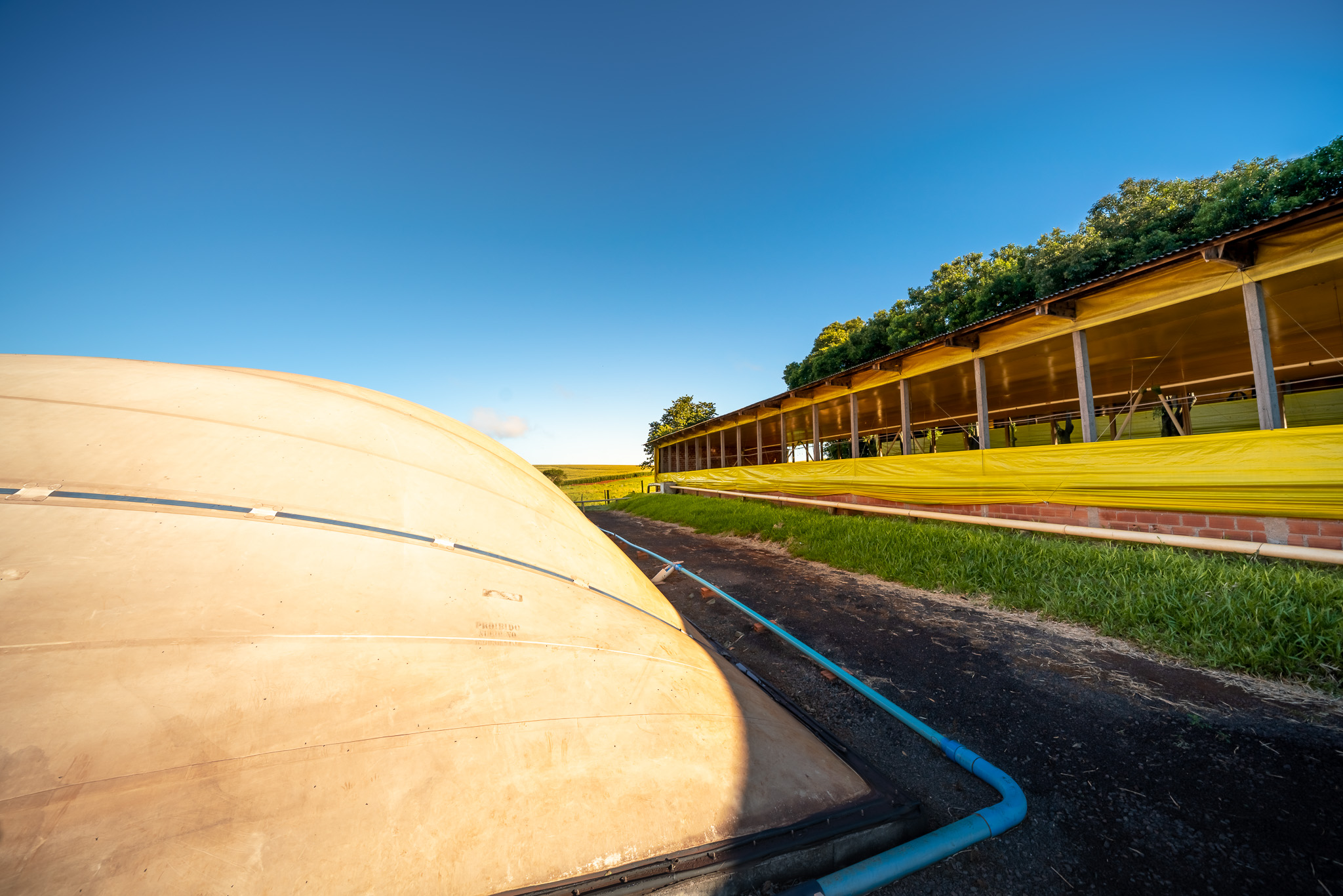 BIOMASSA - Em Entre Rios do Oeste, onde a produção de carne suína é mais de 30 vezes maior do que o número de habitantes, um projeto da Aneel (Agência Nacional de Energia Elétrica), Copel, Fundação Parque Tecnológico de Itaipu, CIBiogás e prefeitura municipal vai gerar e distribuir energia elétrica a partir do biogás de biomassa residual da suinocultura em propriedades rurais.  12/06/2019  -  Foto: Alexandre Marchetti