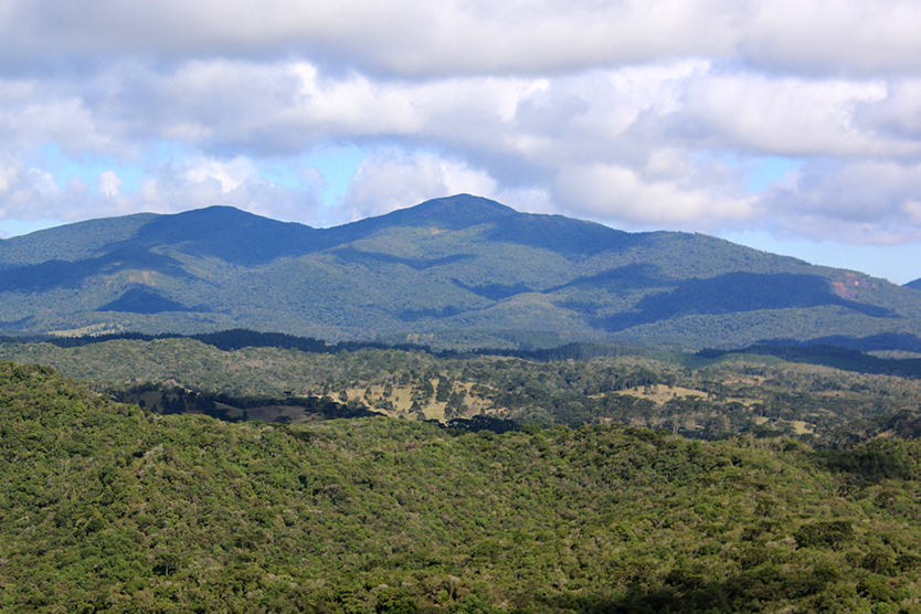 Parque Estadual da Serra Baitaca. Foto: Pefeitura de Quatro Barras