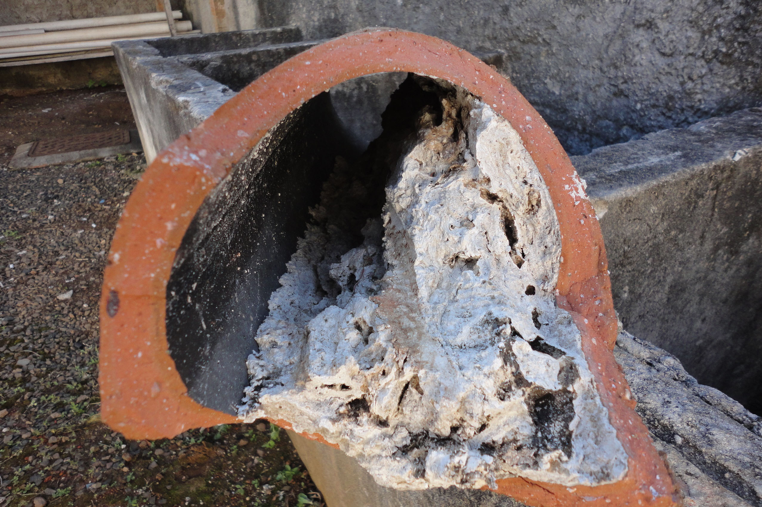 Óleo e gordura despejados em ralos vão parar na rede de esgoto, causam entupimento, rachaduras e dificultam processo de tratamento.
Foto: Sanepar