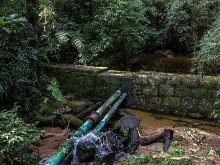 Mananciais da Serra estarão abertos no próximo domingo. Foto: Sanepar