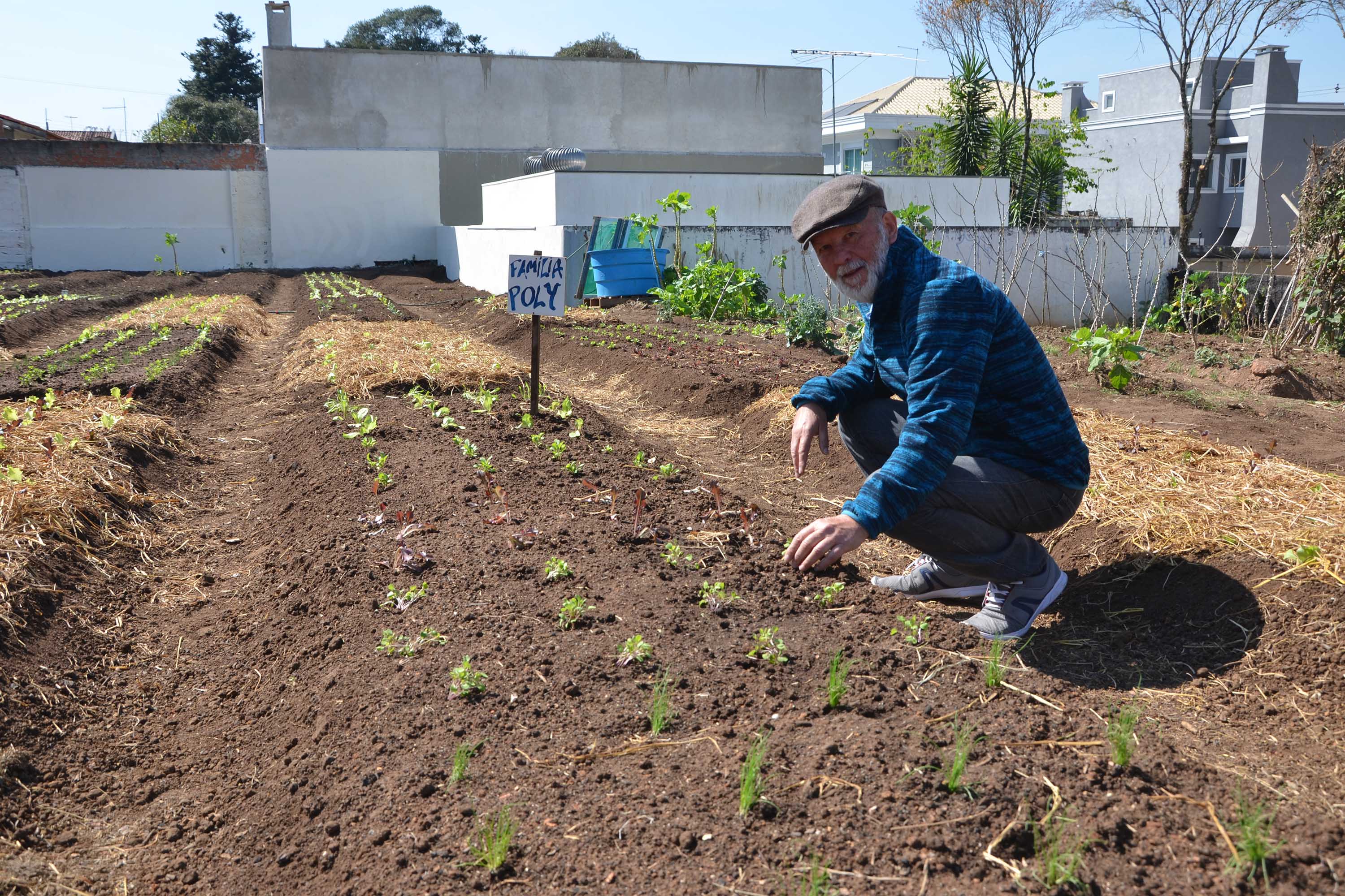 A ideia da horta comunitária no Boqueirão veio da cabeça do agricultor Lincoln Willian Polycarpo. Nascido em família de cafeicultores do Norte do Paraná, ele migrou para Curitiba após a geada de 1975, que dizimou os cafezais. “Nunca deixei de ser agricultor”, afirmou. Em 1996, ele apresentou o projeto. Um ano e meio depois foi feita parceria com a prefeitura e criada a primeira horta. No entanto, aos poucos o terreno virou lixeira e o mato se alastrou.Foto: Divulgação/SESA