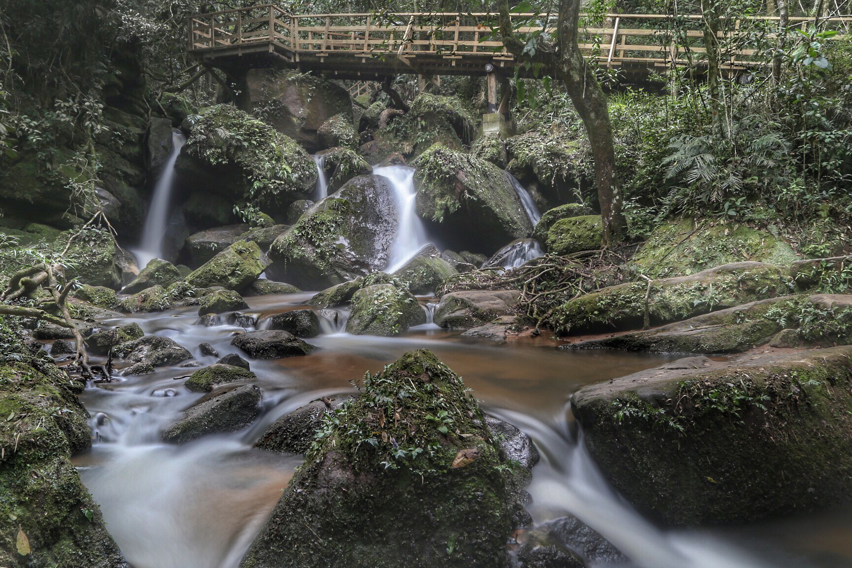 Campos Gerais têm natureza, tropeirismo e cultura europeia.  Foto: José Fernando Ogura/AEN
