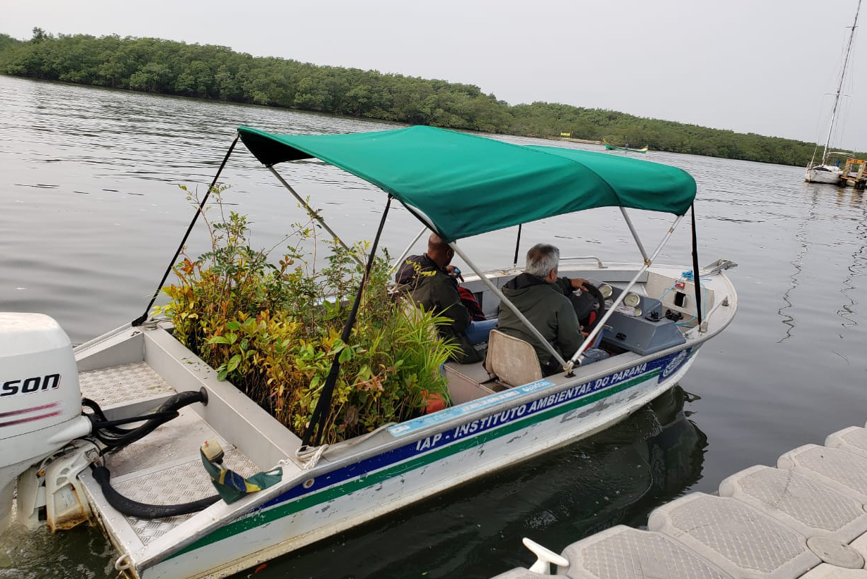 O Governo do Estado montou uma logística especial para o envio de mudas de árvores às escolas estaduais e Apaes de todo o Paraná. Mais de 3 mil pessoas estão atuando na tarefa de entregar e receber as mudas de espécies nativas, que serão plantadas dentro do programa de arborização Paraná Mais Verde. Foto: Divulgação/SEDEST