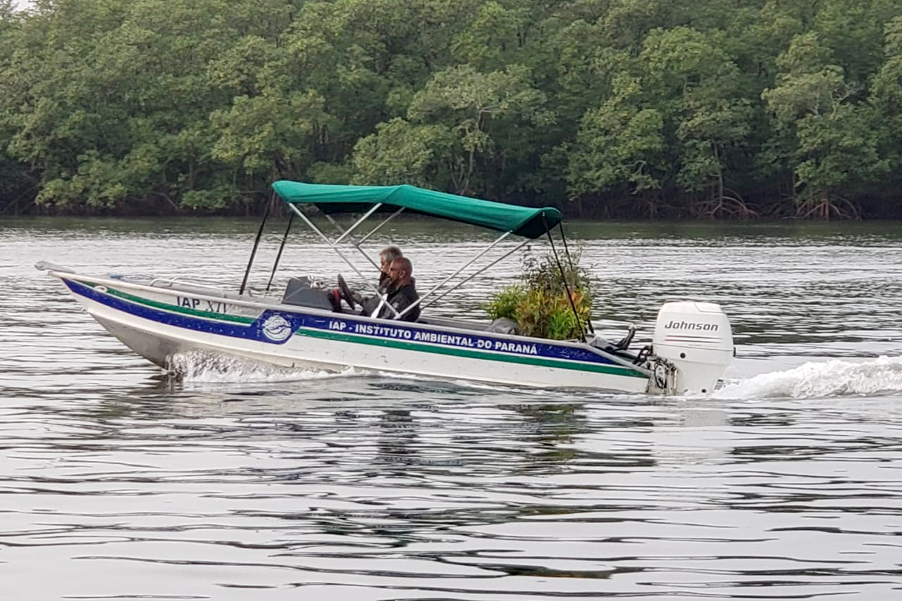 O Governo do Estado montou uma logística especial para o envio de mudas de árvores às escolas estaduais e Apaes de todo o Paraná. Mais de 3 mil pessoas estão atuando na tarefa de entregar e receber as mudas de espécies nativas, que serão plantadas dentro do programa de arborização Paraná Mais Verde. Foto: Divulgação/SEDEST