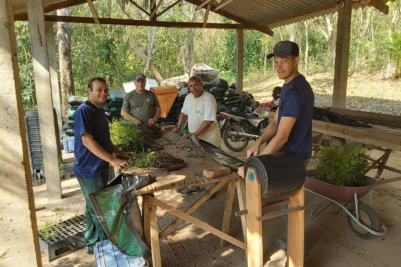 O Governo do Estado montou uma logística especial para o envio de mudas de árvores às escolas estaduais e Apaes de todo o Paraná. Mais de 3 mil pessoas estão atuando na tarefa de entregar e receber as mudas de espécies nativas, que serão plantadas dentro do programa de arborização Paraná Mais Verde. Foto: Divulgação/SEDEST