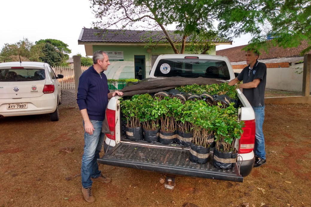 O Governo do Estado montou uma logística especial para o envio de mudas de árvores às escolas estaduais e Apaes de todo o Paraná. Mais de 3 mil pessoas estão atuando na tarefa de entregar e receber as mudas de espécies nativas, que serão plantadas dentro do programa de arborização Paraná Mais Verde. Foto: Divulgação/SEDEST
