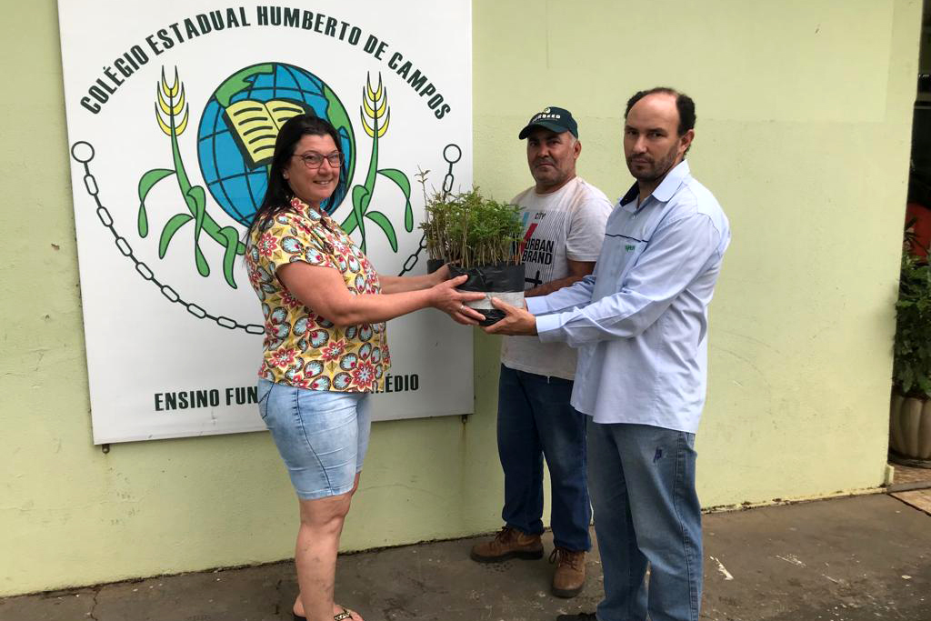 O Governo do Estado montou uma logística especial para o envio de mudas de árvores às escolas estaduais e Apaes de todo o Paraná. Mais de 3 mil pessoas estão atuando na tarefa de entregar e receber as mudas de espécies nativas, que serão plantadas dentro do programa de arborização Paraná Mais Verde. Foto: Divulgação/SEDEST