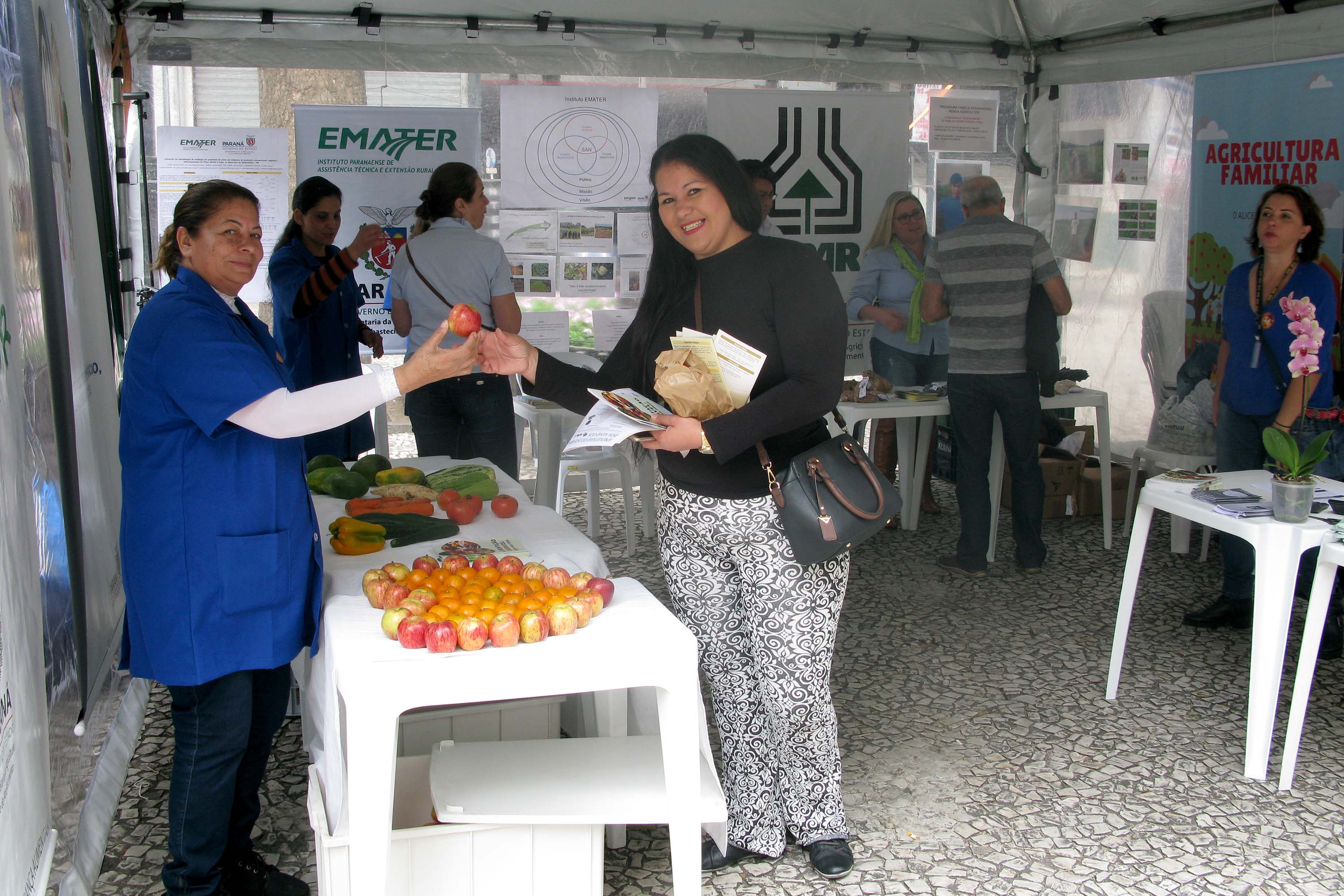 A professora Sirlei Martins, do Centro Municipal de Educação Infantil (Cmei) Iracema, instalado no Bairro Cajuru, em Curitiba, não escondeu o contentamento ao entrar na barraca. Enquanto recolhia folhetos explicativos sobre horta e alimentação saudável, ela comentou seu interesse. Quando chegou ao Cmei no início do ano viu que vários de seus alunos desprezavam o alface e o tomate dos sanduíches naturais que recebiam.Foto: Divulgação/SEAB
