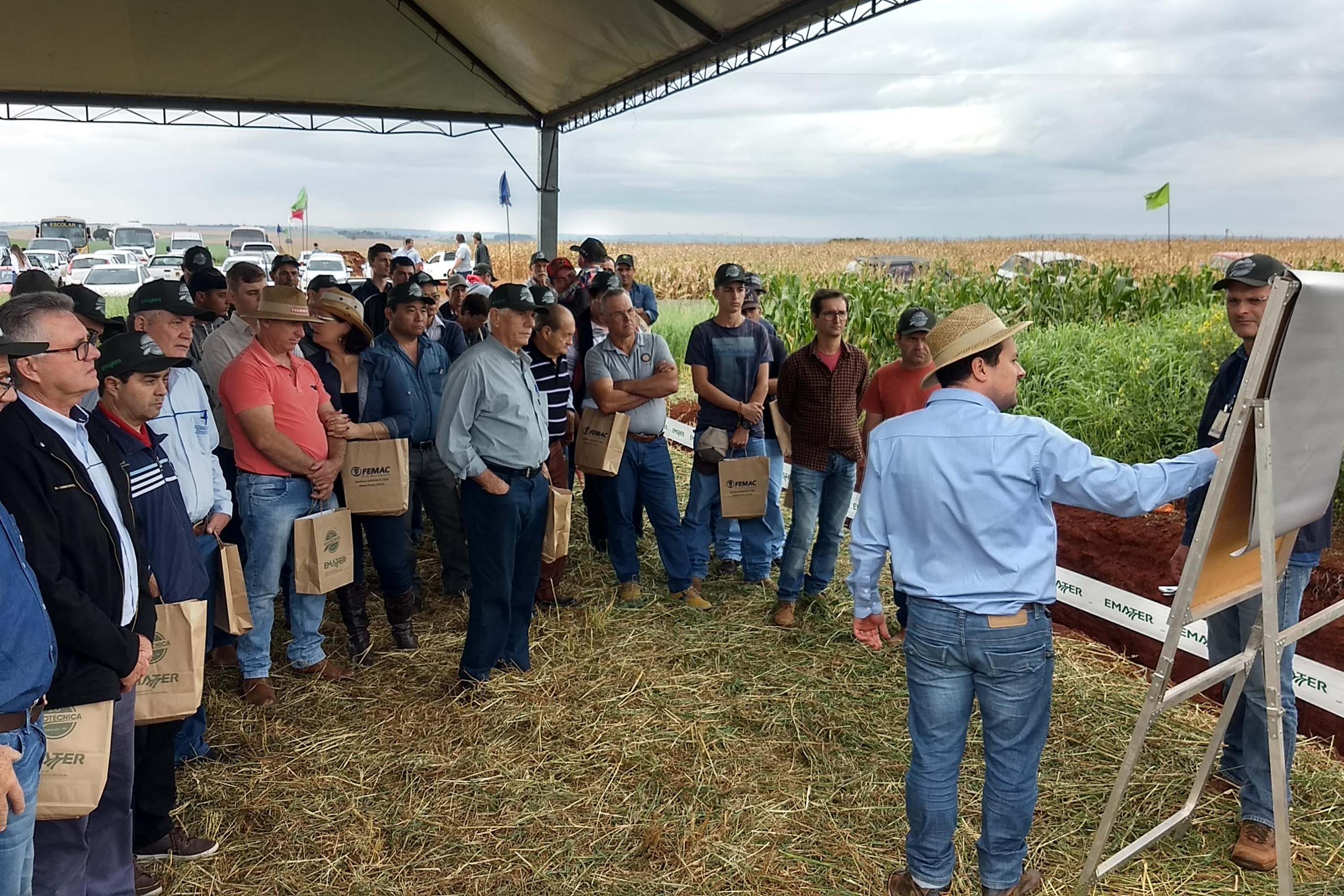 Emater incentiva técnica contra erosão e colhe bons resultados. Foto: Divulgação/Emater