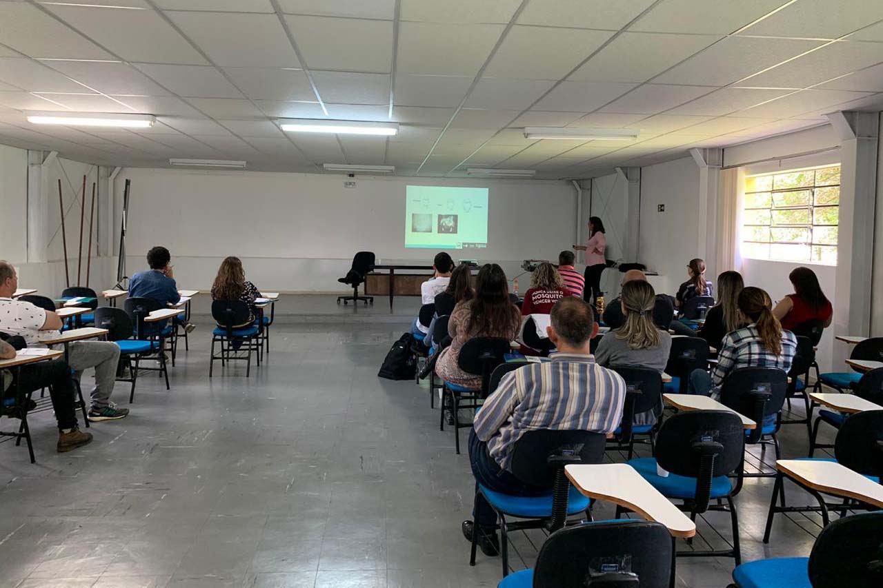 Saúde capacita técnicos na identificação de morcegos. Foto: SESA