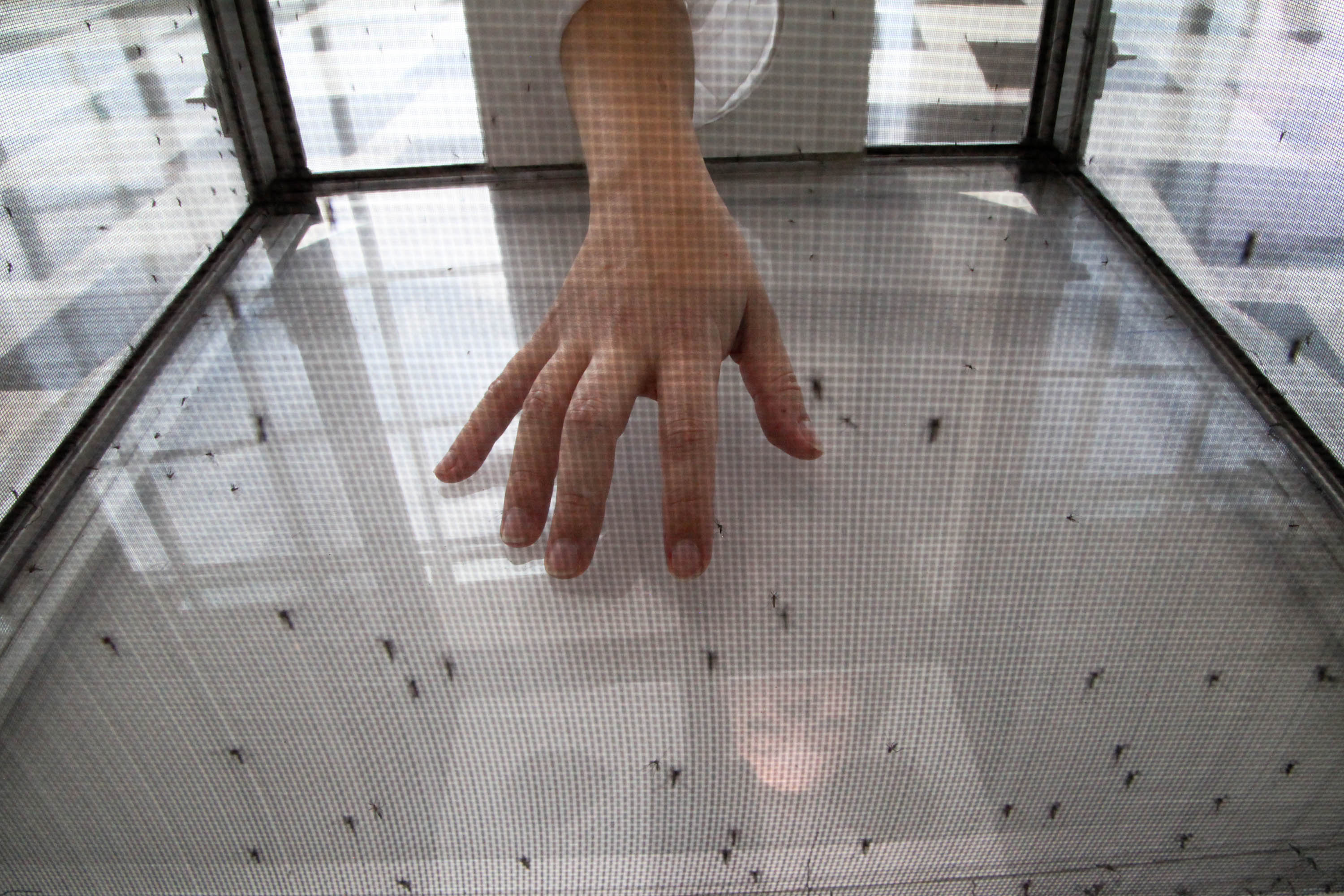 1ª Feira Tecnologica para Saude. Foto:Ari Dias/AEN