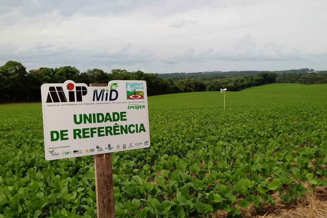 O sistema Alerta Ferrugem, desenvolvido pelo Instituto Paranaense de Assistência Técnica e Extensão Rural (Emater), está entre as melhores ferramentas de monitoramento da ferrugem asiática da soja do mundo. São 248 pontos de coleta de esporos em aproximadamente 200 municípios paranaenses, uma rede que desde 2016 tem colaborado para retardar a primeira aplicação de fungicidas, reduzindo seu uso em cerca de 35%. Foto:SEAB