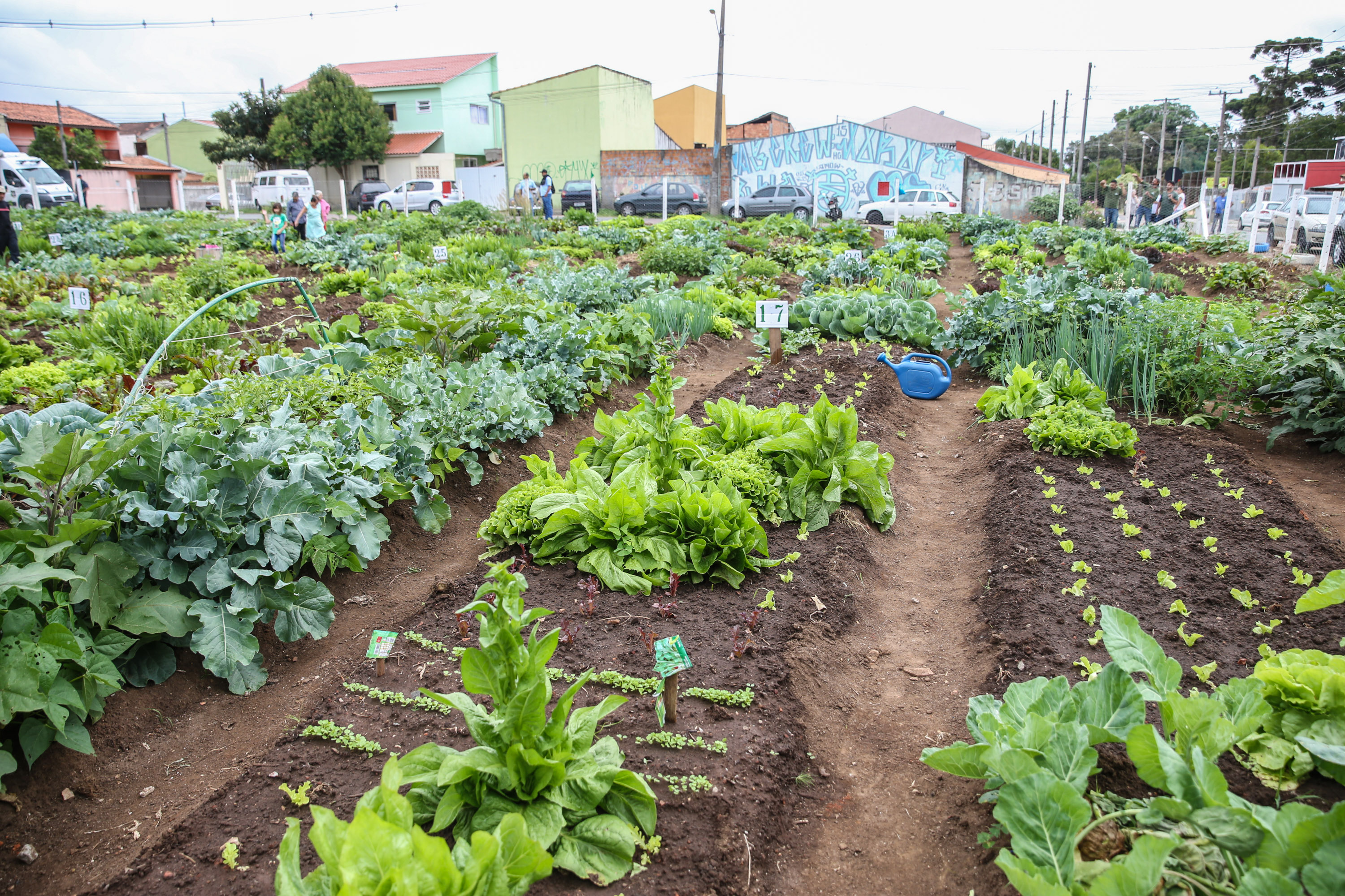 Inauguração da Horta Comunitária Moradias Marumbi do programa da Secretaria de Estado da Agricultura e do Abastecimento,  nesta quinta-feira (16), no bairro Uberaba, em Curitiba