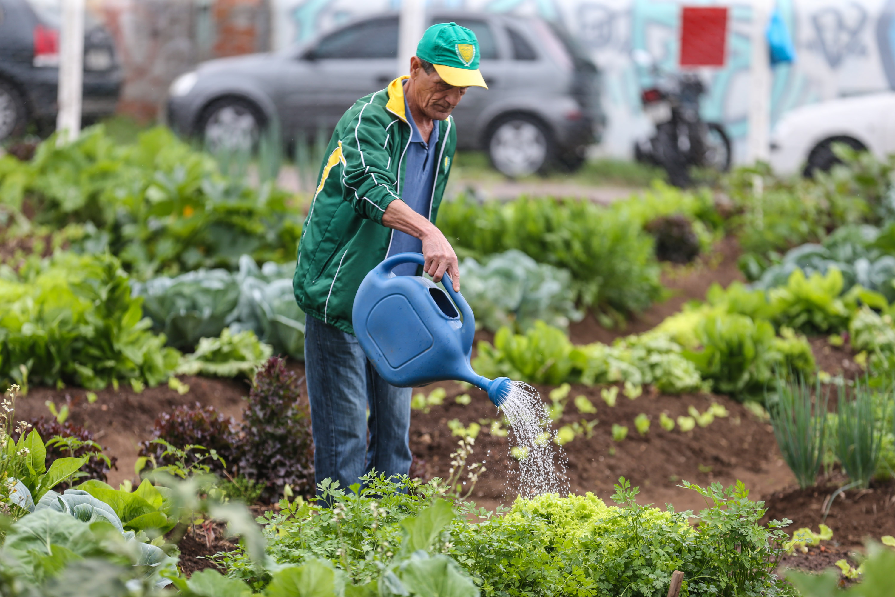 Inauguração da Horta Comunitária Moradias Marumbi do programa da Secretaria de Estado da Agricultura e do Abastecimento,  nesta quinta-feira (16), no bairro Uberaba, em Curitiba