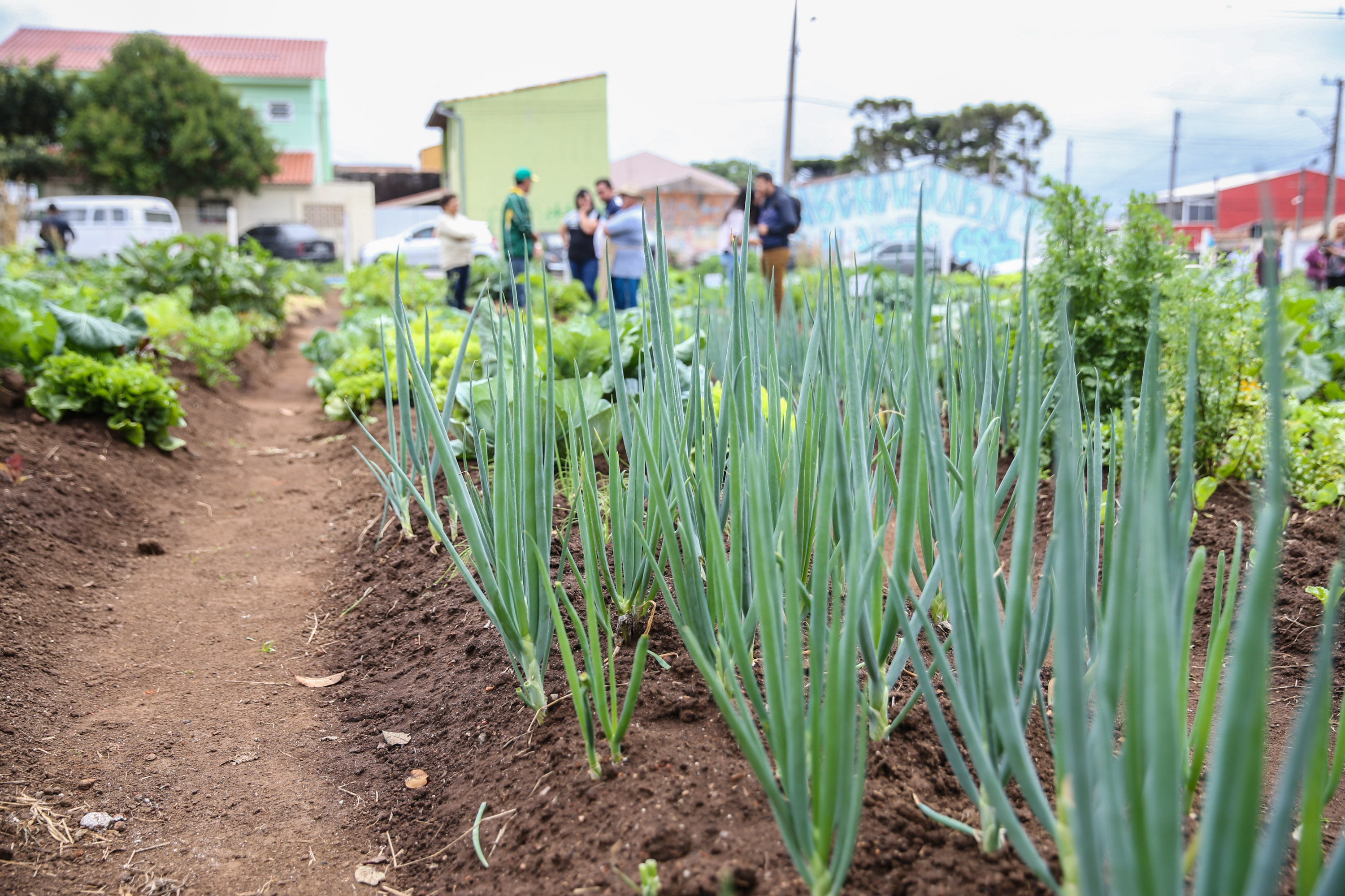 Inauguração da Horta Comunitária Moradias Marumbi do programa da Secretaria de Estado da Agricultura e do Abastecimento,  nesta quinta-feira (16), no bairro Uberaba, em Curitiba
