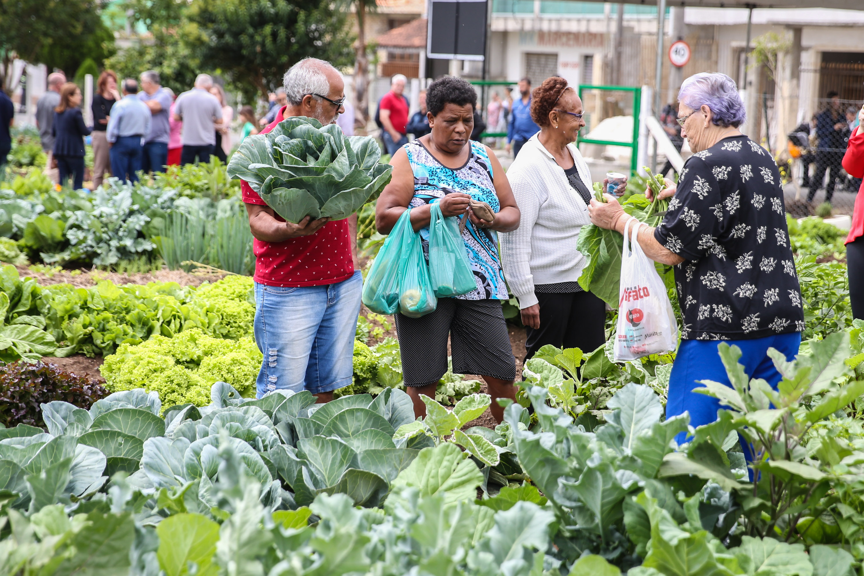 Inauguração da Horta Comunitária Moradias Marumbi do programa da Secretaria de Estado da Agricultura e do Abastecimento,  nesta quinta-feira (16), no bairro Uberaba, em Curitiba
