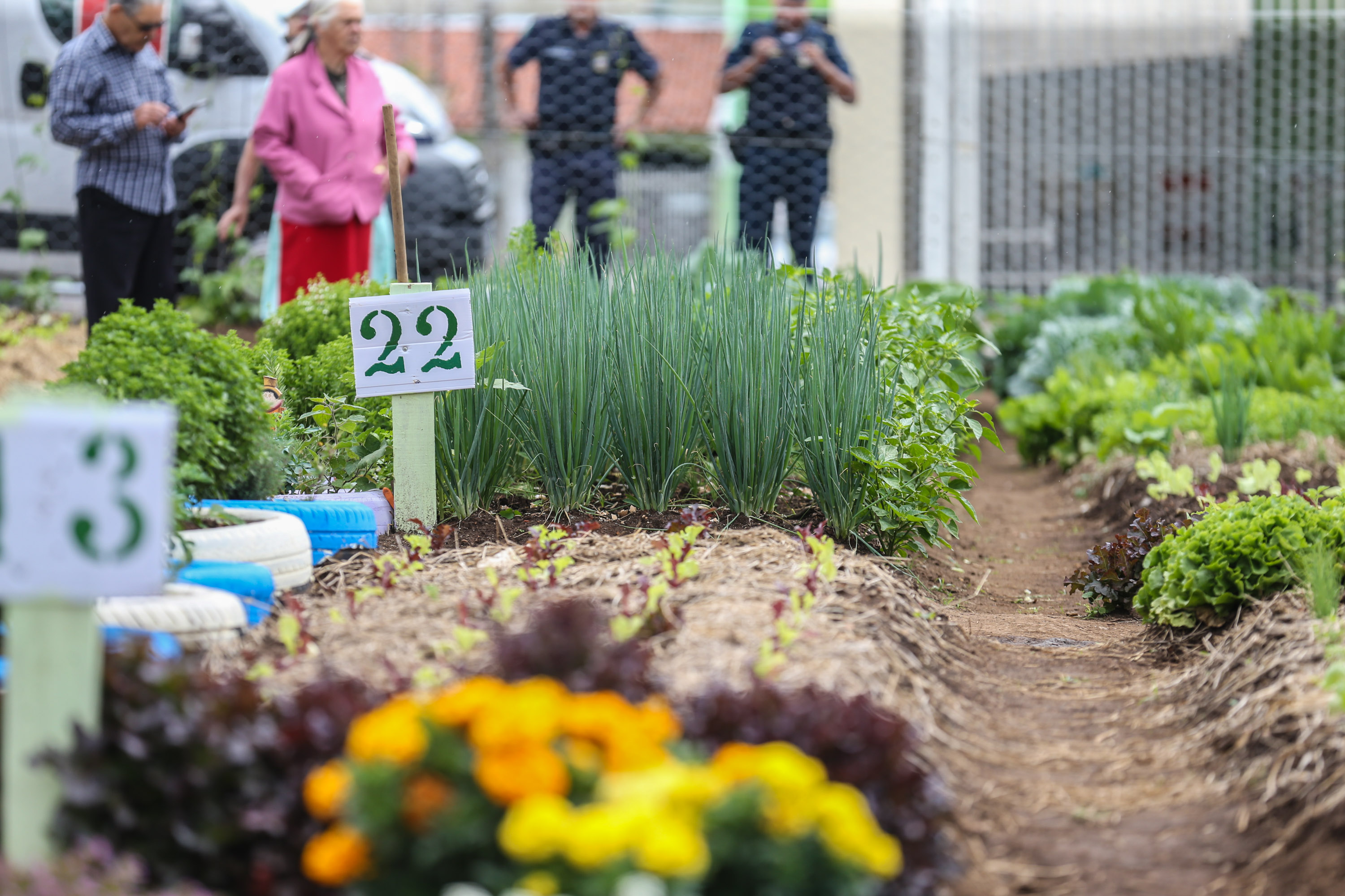 Inauguração da Horta Comunitária Moradias Marumbi do programa da Secretaria de Estado da Agricultura e do Abastecimento,  nesta quinta-feira (16), no bairro Uberaba, em Curitiba