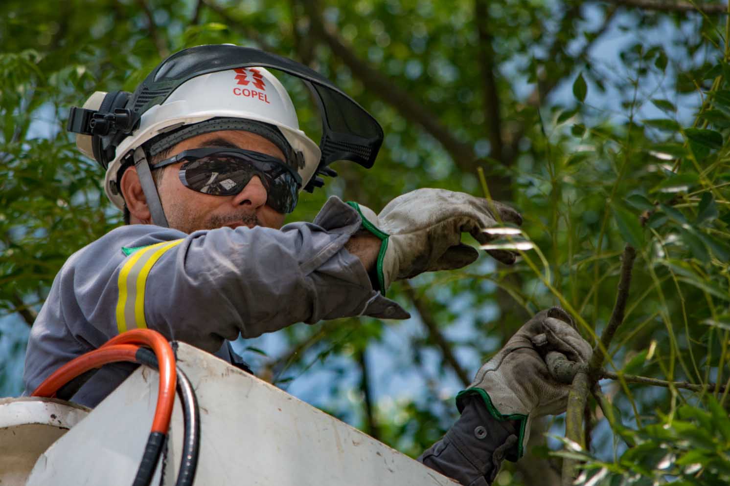 Cerca de 100 profissionais, entre inspetores e técnicos da Copel, farão uma maratona de limpeza na rede de energia na capital paranaense neste sábado (01). O objetivo é promover poda de galhos de árvores que estejam muito próximos aos fios.  Foto: Copel