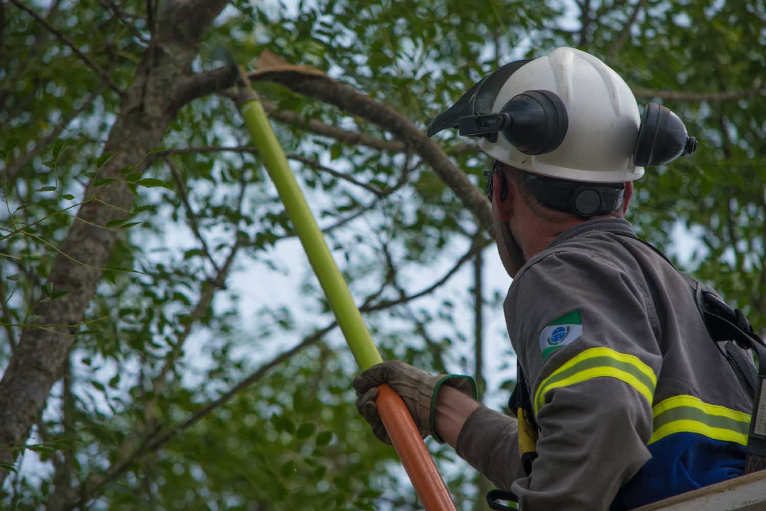 Cerca de 100 profissionais, entre inspetores e técnicos da Copel, farão uma maratona de limpeza na rede de energia na capital paranaense neste sábado (01). O objetivo é promover poda de galhos de árvores que estejam muito próximos aos fios.  Foto: Copel