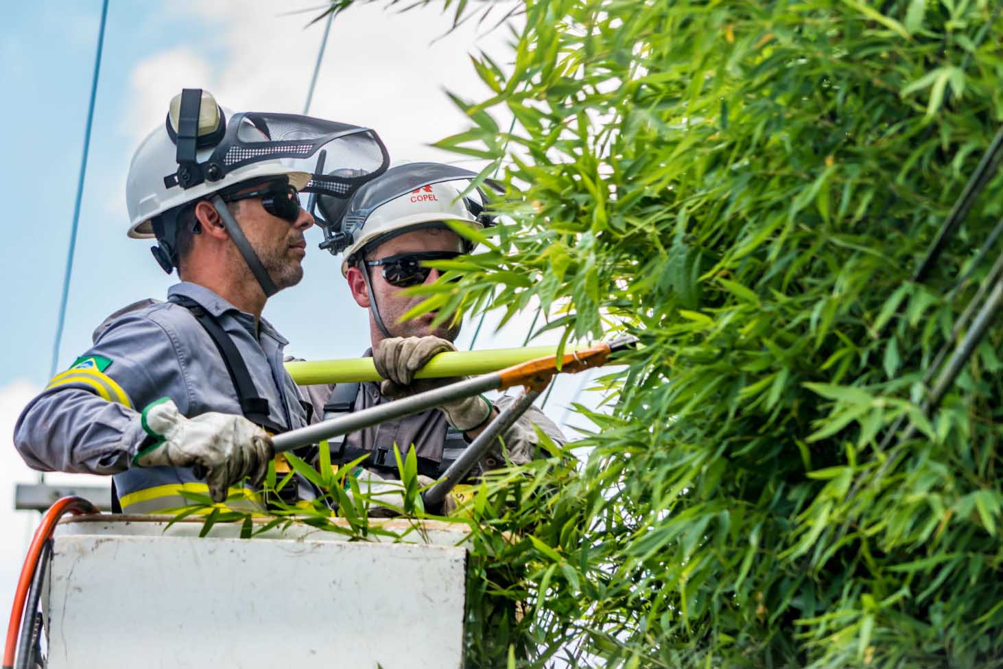 Cerca de 100 profissionais, entre inspetores e técnicos da Copel, farão uma maratona de limpeza na rede de energia na capital paranaense neste sábado (01). O objetivo é promover poda de galhos de árvores que estejam muito próximos aos fios.  Foto: Copel