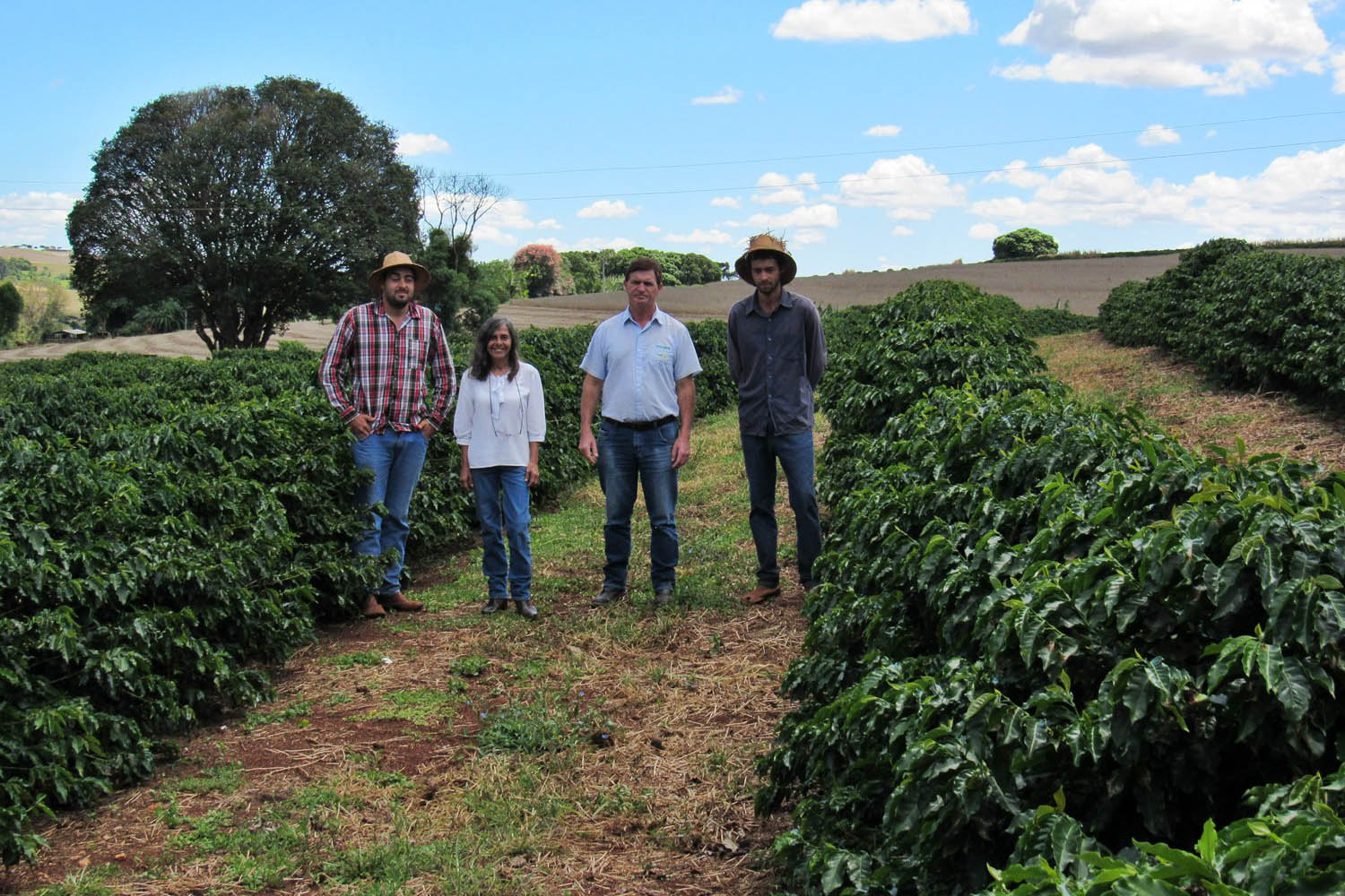Lodo de esgoto beneficia pequenos agricultores no Paraná. Foto:Sanepar