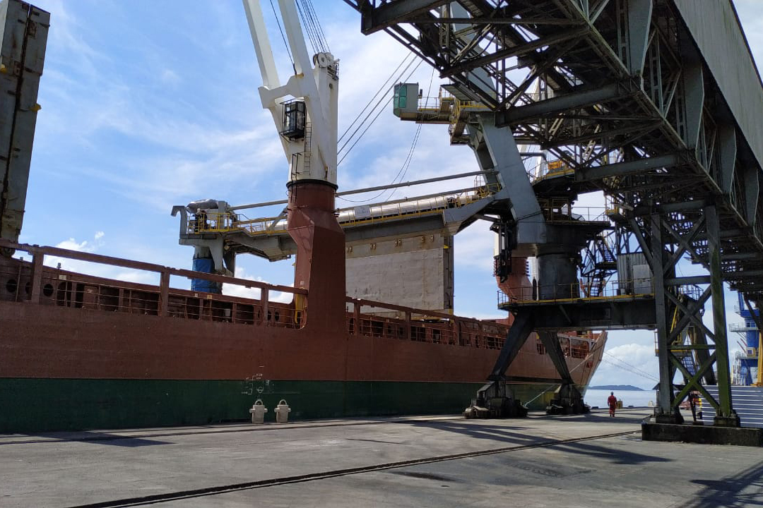 Porto de Paranaguá faz embarque inédito de fubá em sacas. Foto:Portos do Paraná