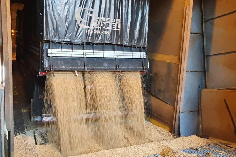 Agronegócio representa 80,3% das exportações do Paraná.Foto: Portos do Paraná