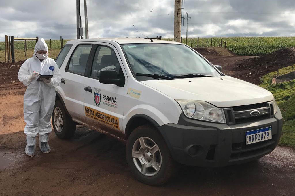 A Agência de Defesa Agropecuária do Paraná (Adapar) iniciou nesta segunda-feira (18) o inquérito soro-epidemiológico do rebanho bovino do Estado. Serão coletadas amostras do sangue de quase 10 mil animais em 330 propriedades rurais. Foto: Adapar
