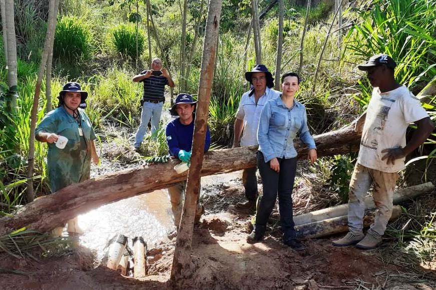 Recuperação de nascentes em Paranavaí é destaque em evento ambiental. Foto: Sanepar