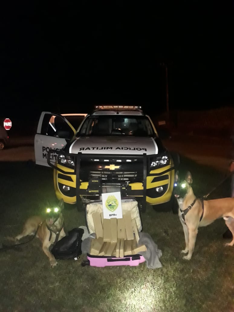 O trabalho ao longo do feriado, segundo o Comandante do BPRv, tenente-coronel Olavo Vianei Francischetti Nunes, foi para reforçar a fiscalização de trânsito para reduzir o número de mortes e mutilados, além de desenvolver um trabalho para combater a criminalidade que opera na rodovia, como o tráfico de drogas e de armas, o contrabando e o descaminho, e de prestar apoio às autoridades sanitárias do Estado e dos municípios para frear o avanço do coronavírus.Foto:SESP