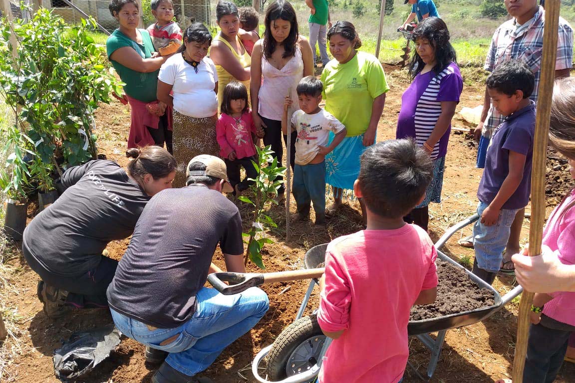 O projeto Renda Agricultor Familiar - ação do programa Nossa Gente criada em 2015, para ajudar as famílias que vivem no campo - já atendeu até o momento mais de 5
